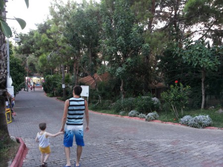 Kemal Bay: территория